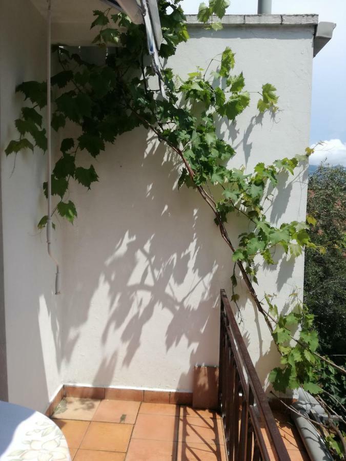 Guest House Vila Bak Будва Екстер'єр фото